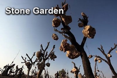 Stone Garden ( Kerman )